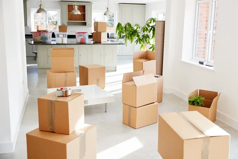 Professional Moving Service In Spring Hill, TN